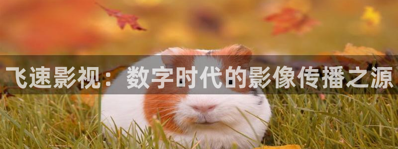 归路1—30集免费观看策驰影院视频：飞速影视：数字时代的影像传播之源
