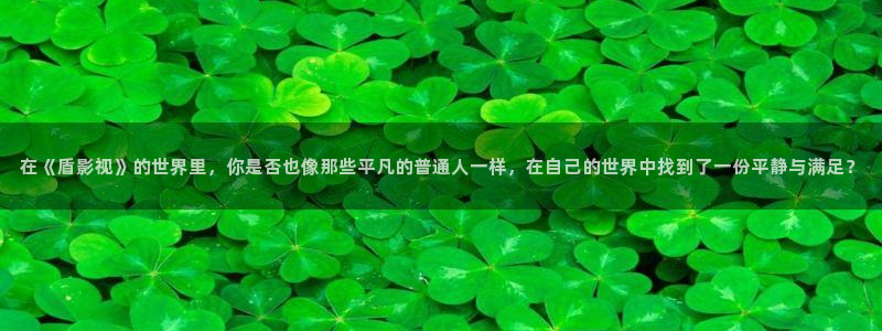 以美之名策驰影院：在《盾影视》的世界里，你是否也像那些平凡的普通人一样，在自己的世界中找到了一份平静与满足？