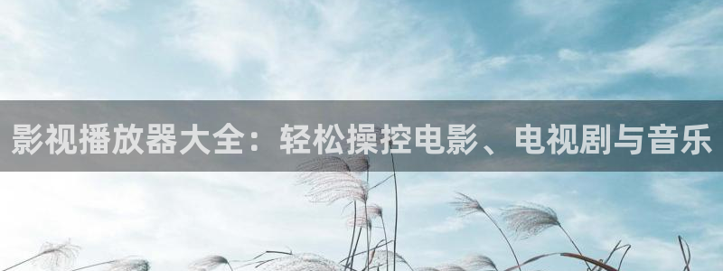 策驰影院在线观看电视剧：影视播放器大全：轻松操控电影、电视剧与音乐
