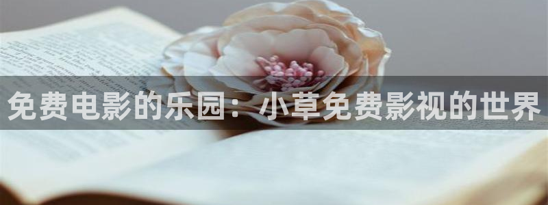 风起洛阳策驰影院：免费电影的乐园：小草免费影视的世界