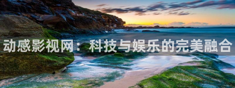 五哈第五季免费观看策驰影院：动感影视网：科技与娱乐的完美融合