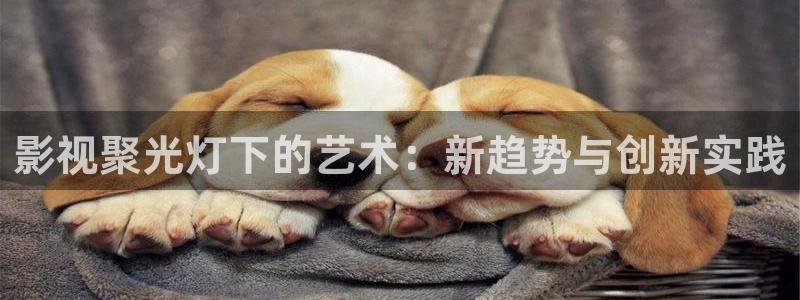 遇见爱情的利先生免费观看策驰影院：影视聚光灯下的艺术：新趋势与创新实践
