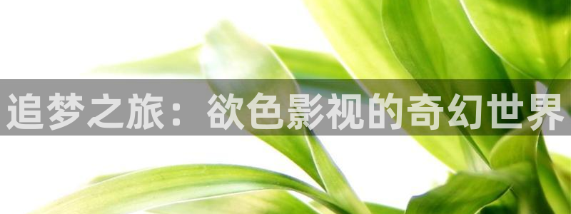 青丝影院免费观看电视剧策驰姑娘：追梦之旅：欲色影视的奇幻世界